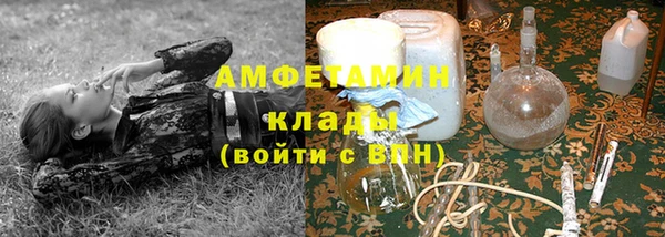прущая мука Ельня