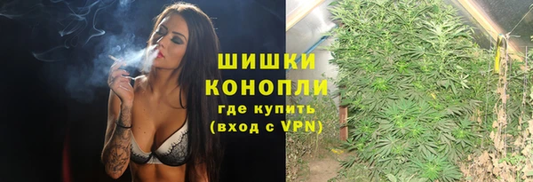 прущая мука Ельня
